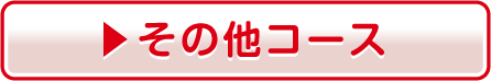 その他コース
