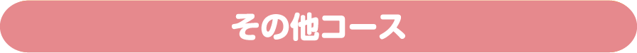 その他コース